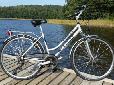 Damenrad