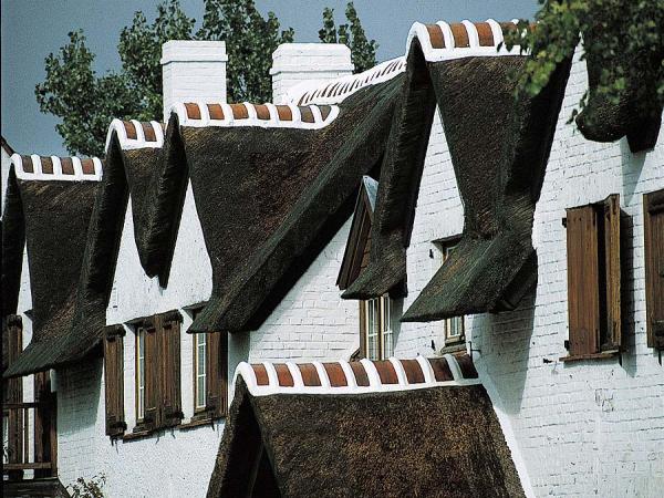 houses